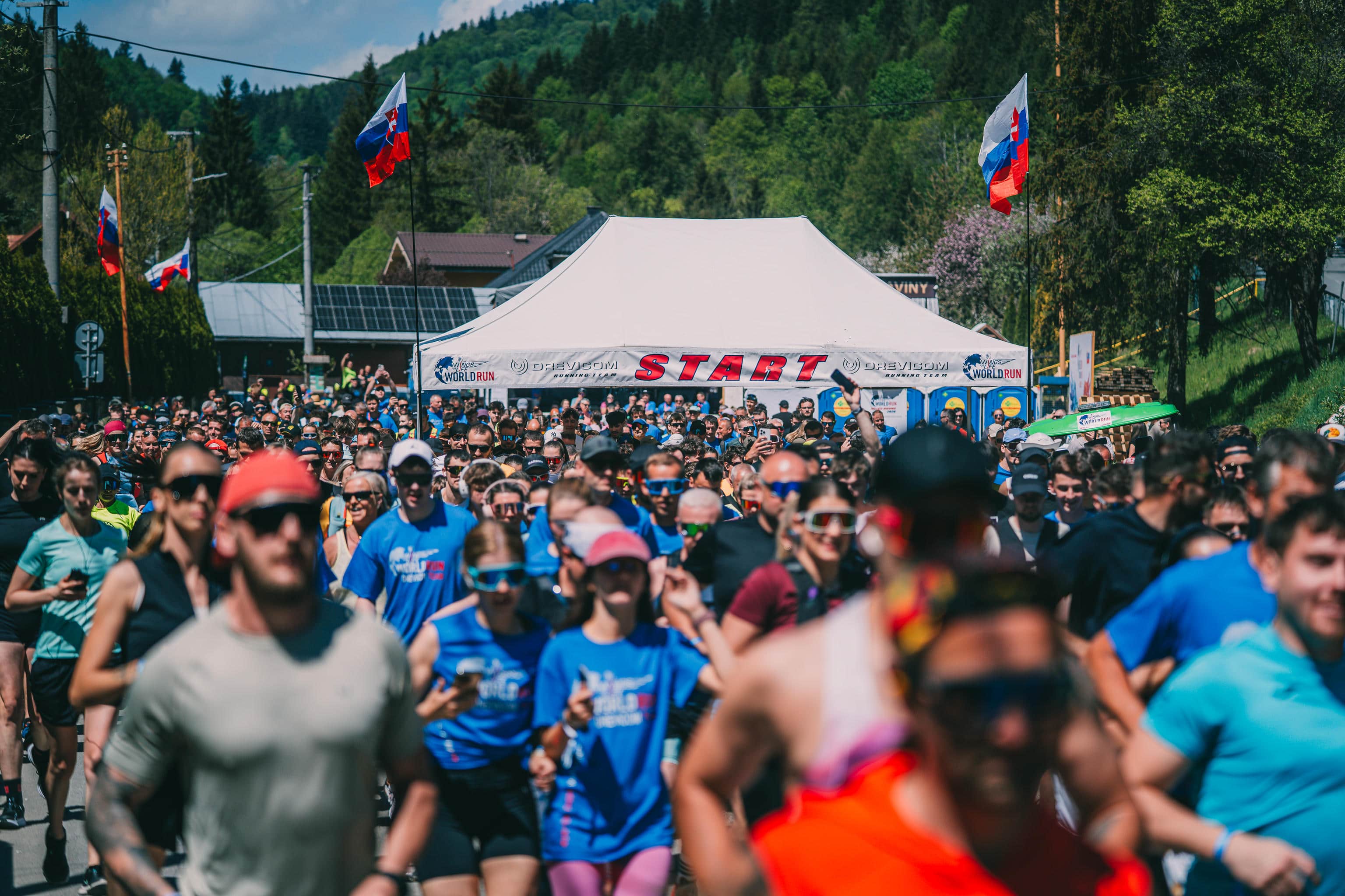 Wings for Life World Run 2026
